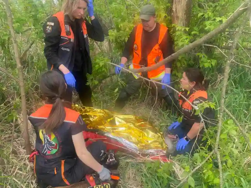 У лісосмузі під Павлоградом знайшли зниклу бабусю: жінка пролежала на холоді майже добу