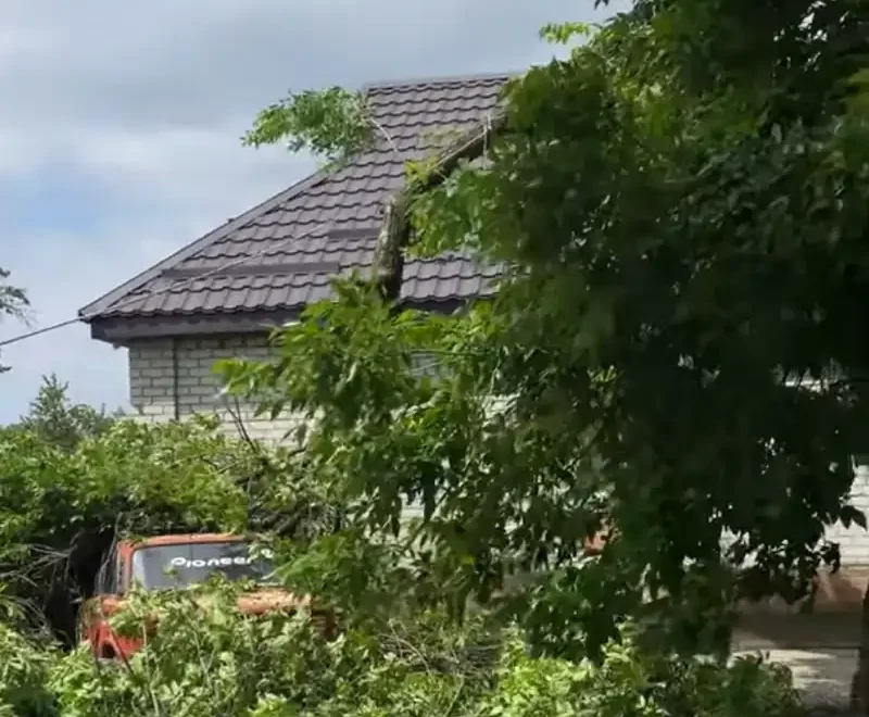 У Павлограді через сильний вітер дерево пошкодило авто і загрожувало будинку
