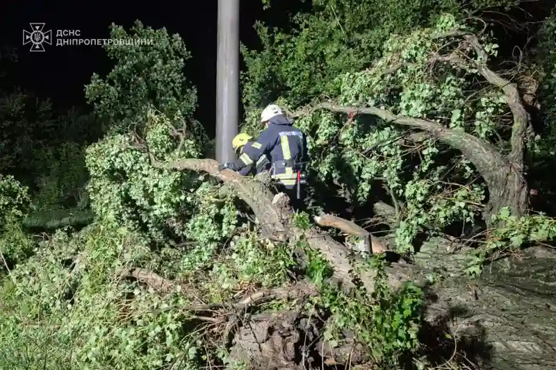 Буревій у Павлограді повалив дерева та пошкодив дахи будинків
