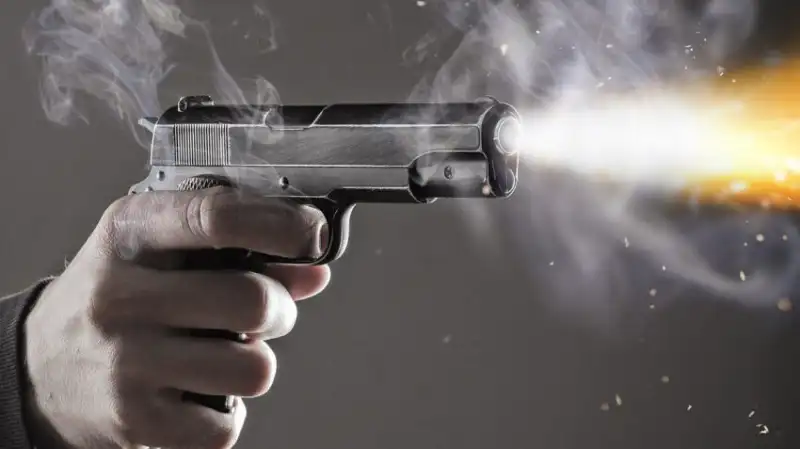 На Павлоградщині задекларували вже 80 одиниць зброї в межах добровільної кампанії