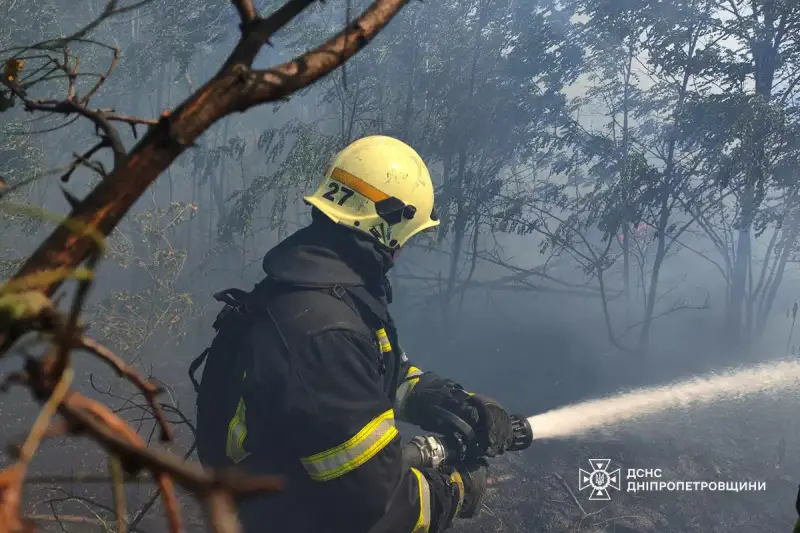 На Дніпропетровщині ліквідували масштабну лісову пожежу